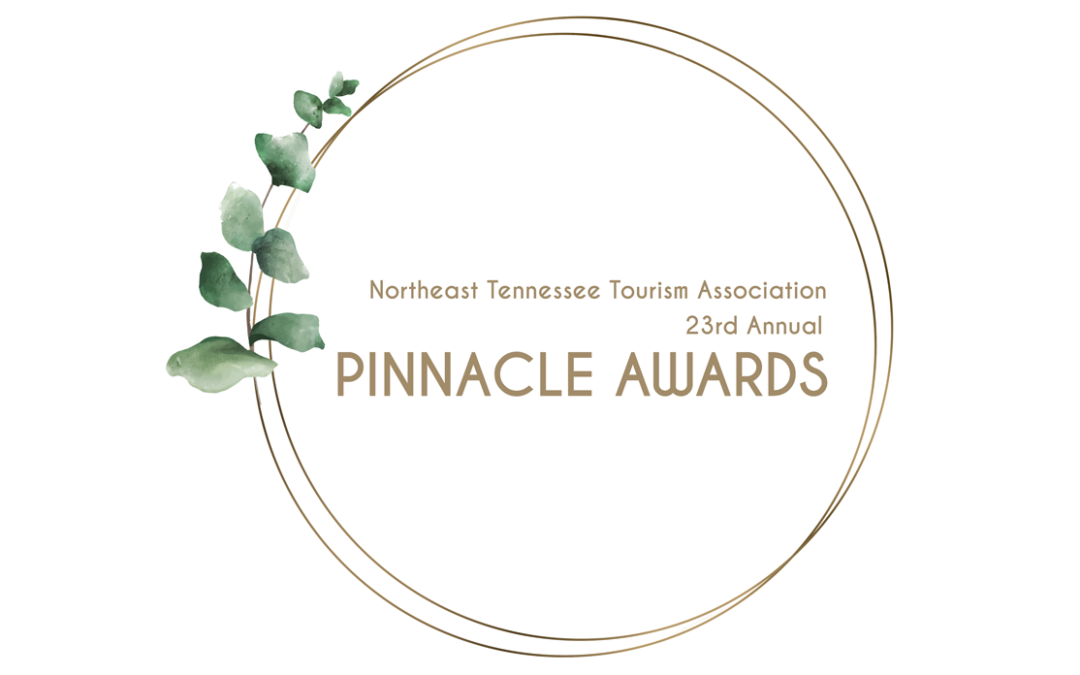 2020 Pinnacle Awards